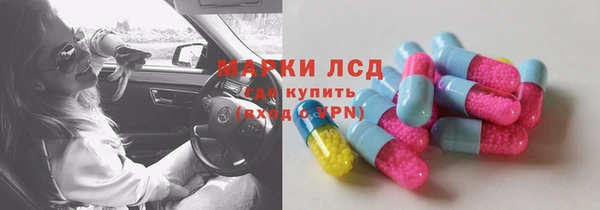СК Алексин