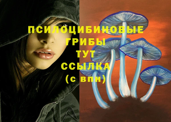 гашик Россошь