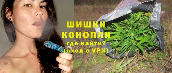 ПСИЛОЦИБИНОВЫЕ ГРИБЫ Рославль