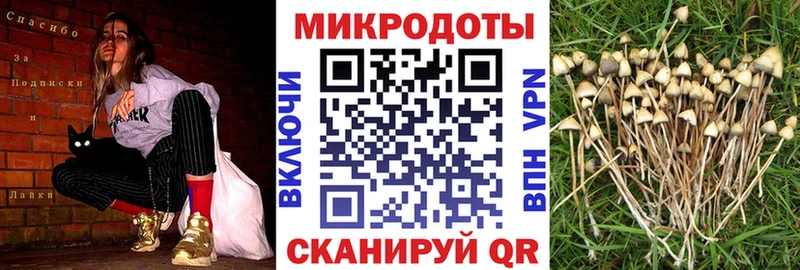 Галлюциногенные грибы ЛСД  хочу наркоту  мега зеркало  Светлоград 